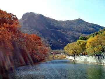 澳门天天免费精准大全，山东冲孔板